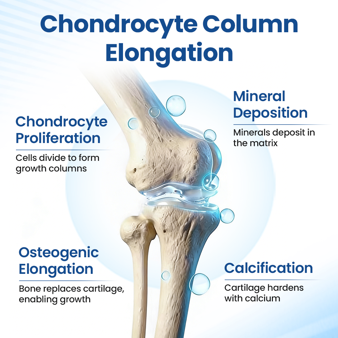 Healrize® GH-Support Height Spray